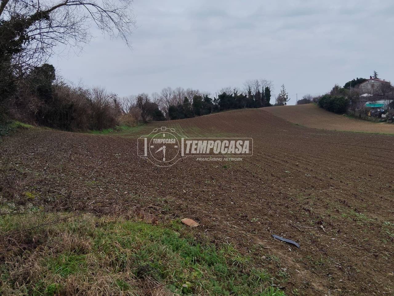 immagine annuncio 3 di 6