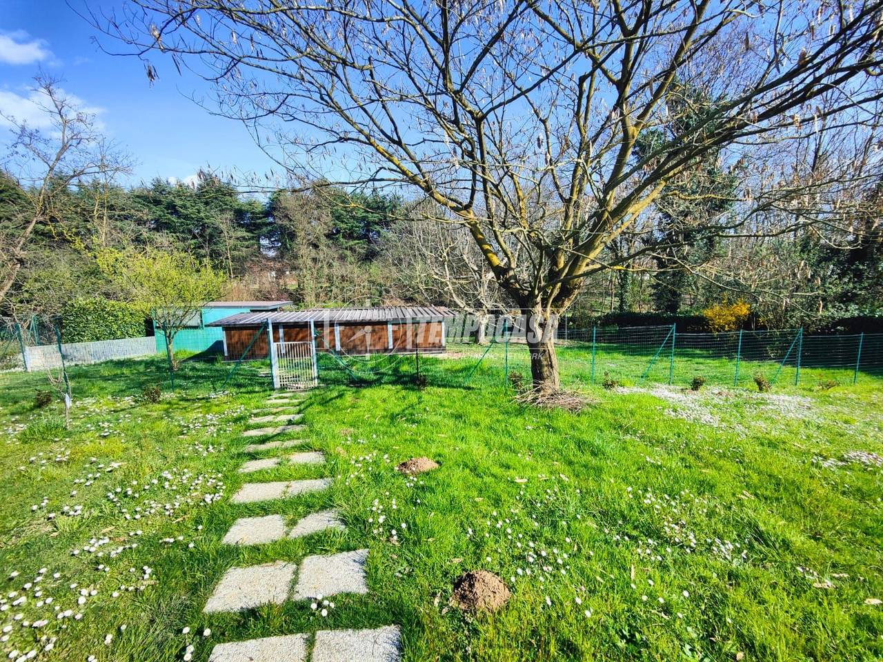 immagine annuncio 4 di 12