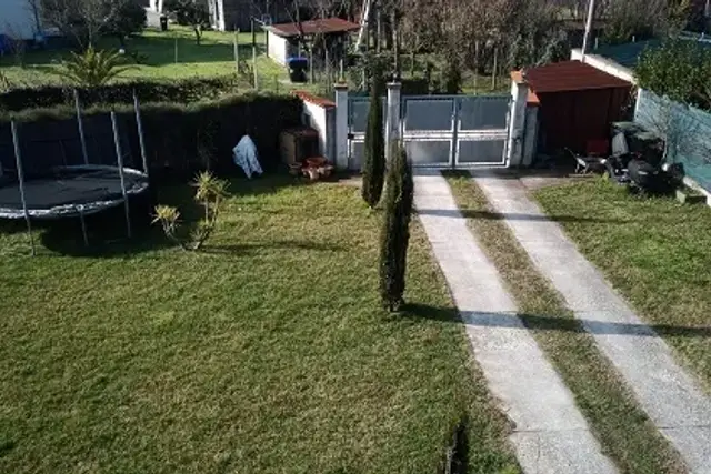 insertion image