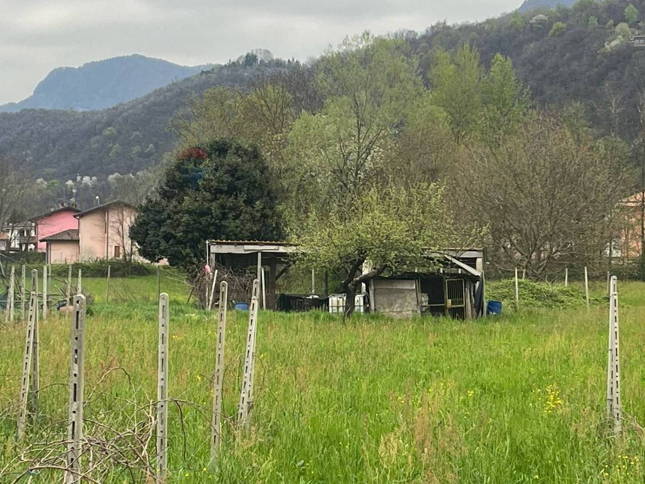 immagine annuncio 4 di 12