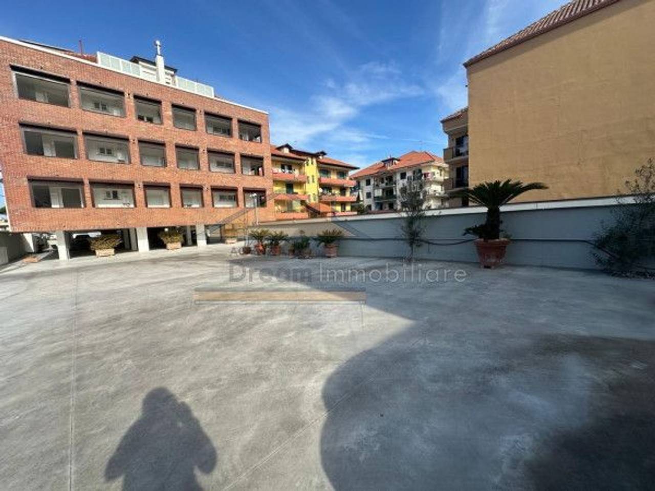 immagine annuncio 3 di 6