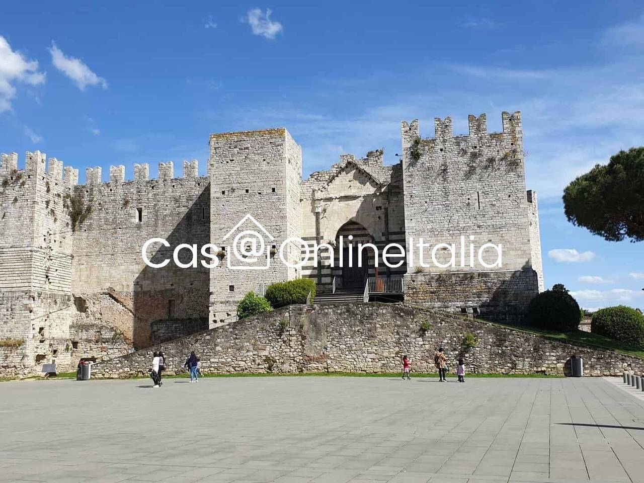 immagine annuncio 3 di 12