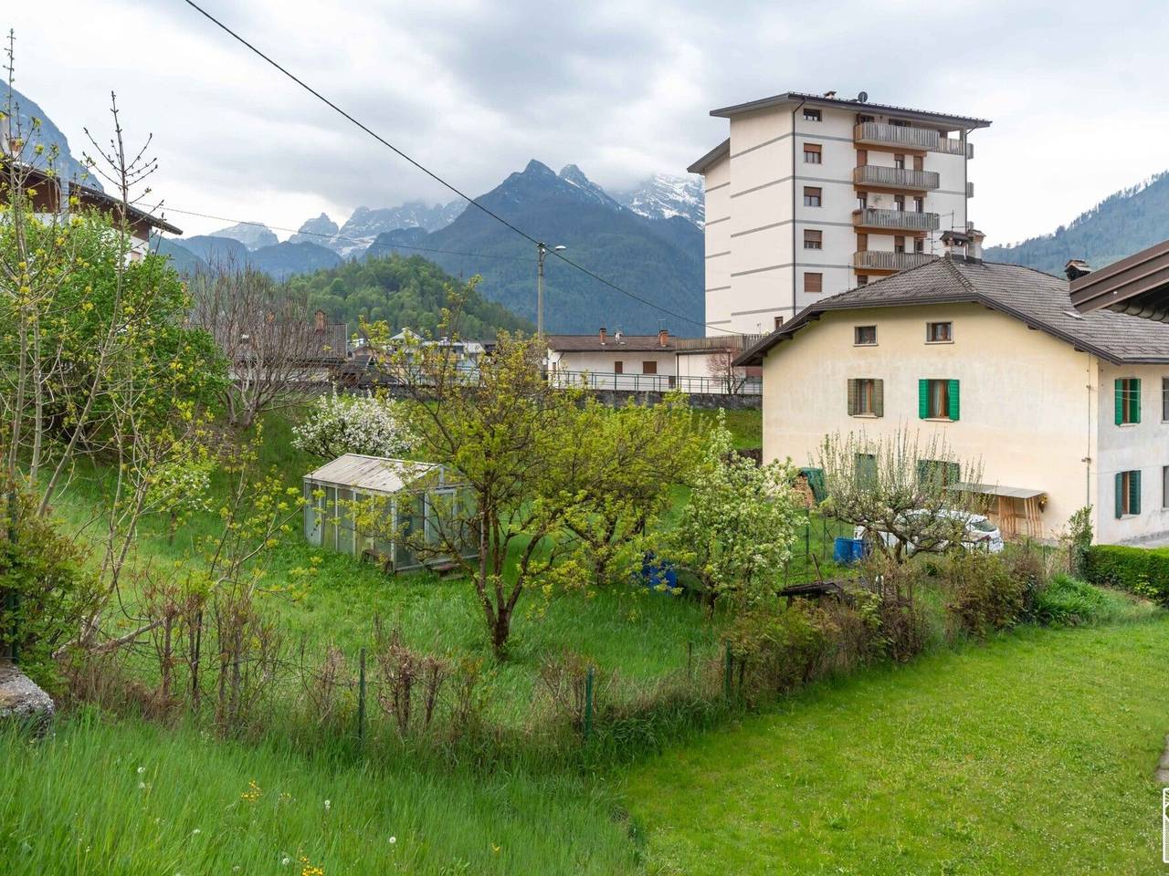 immagine annuncio 1 di 14