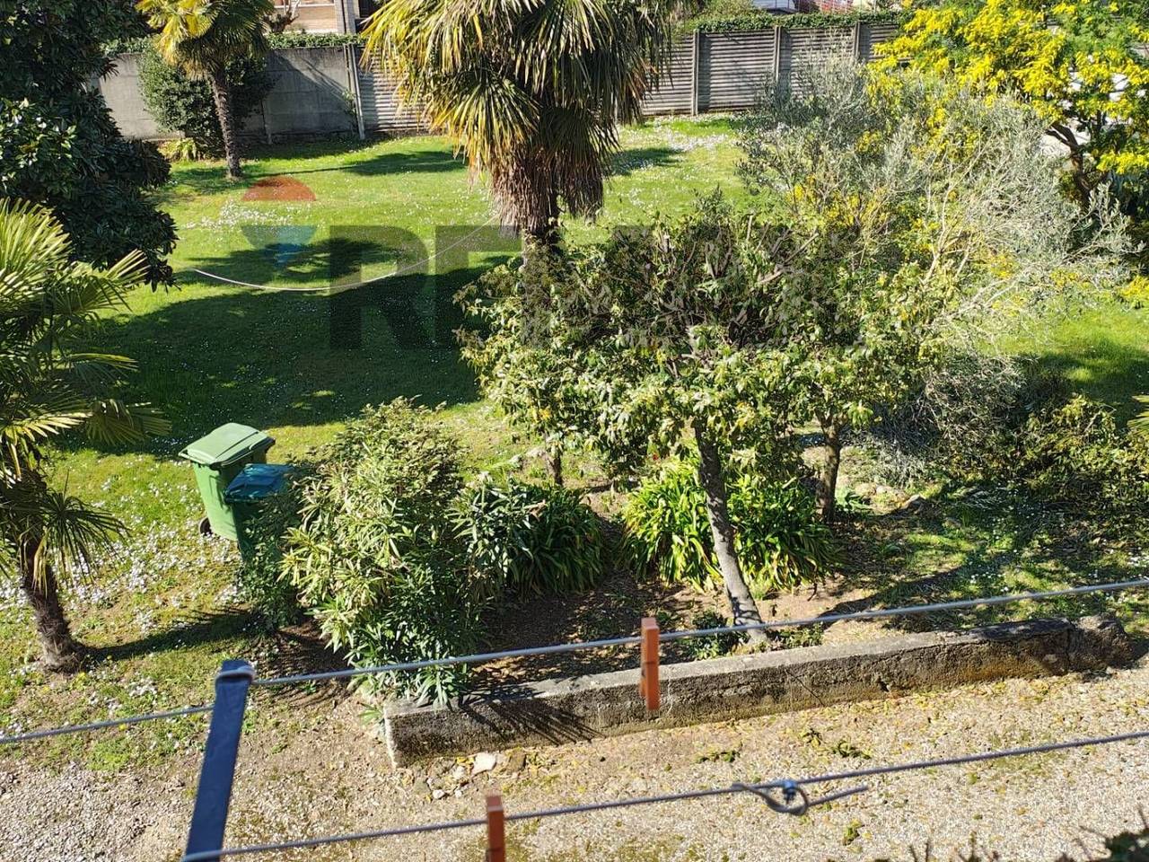 immagine annuncio 5 di 8