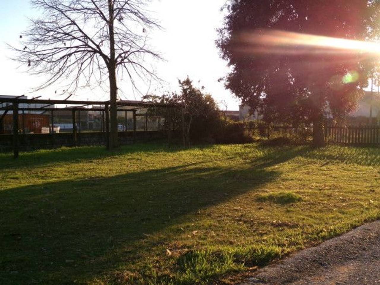 immagine annuncio 11 di 14