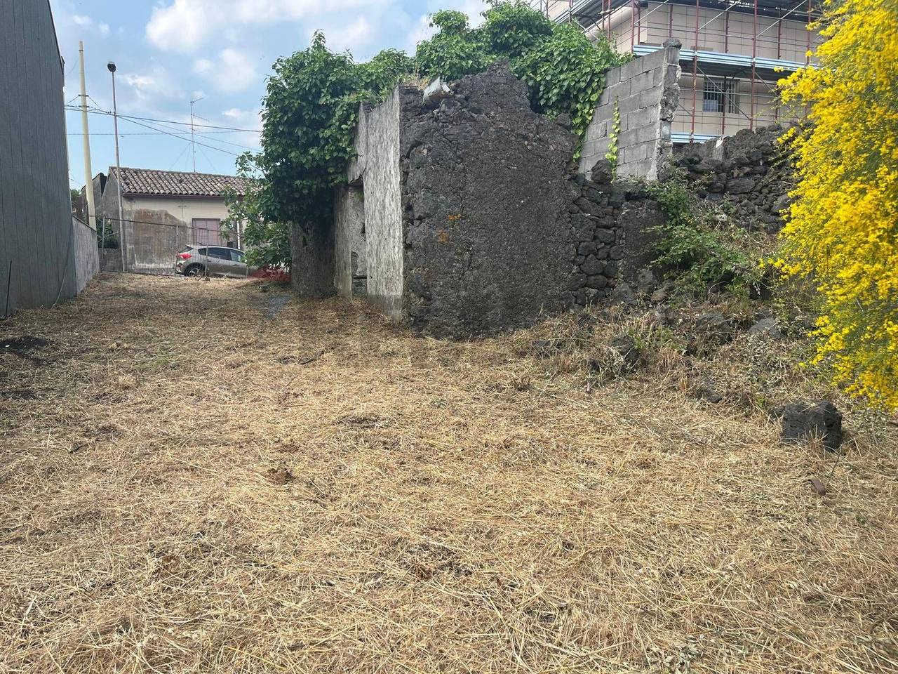 immagine annuncio 11 di 13