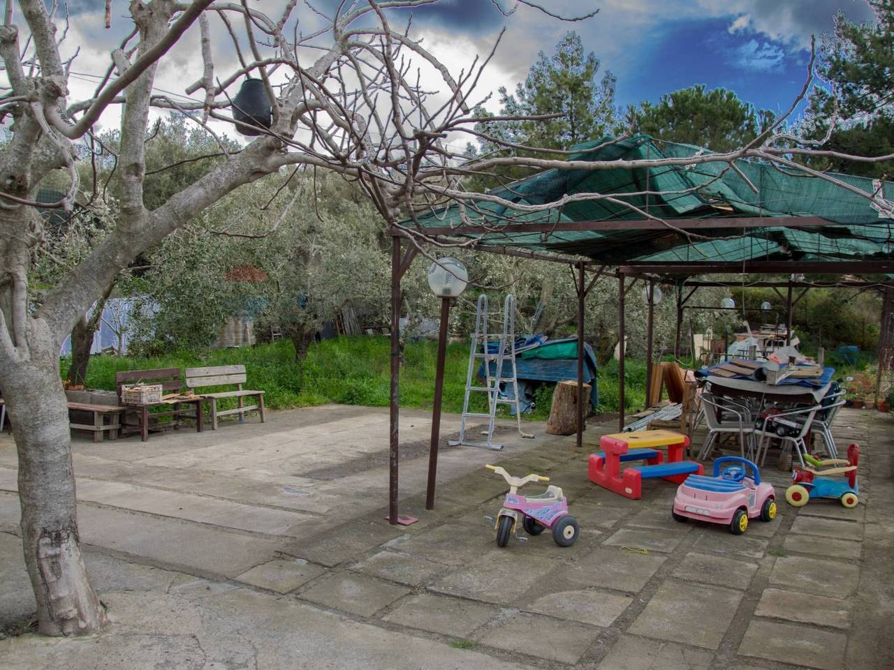 immagine annuncio 6 di 15