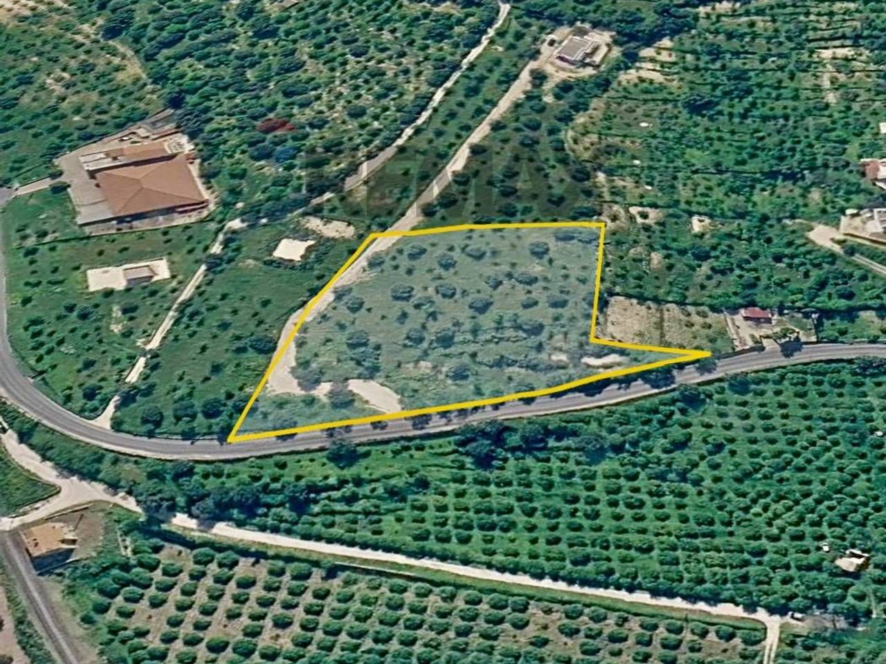 immagine annuncio 11 di 12