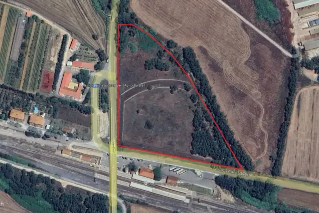 insertion image