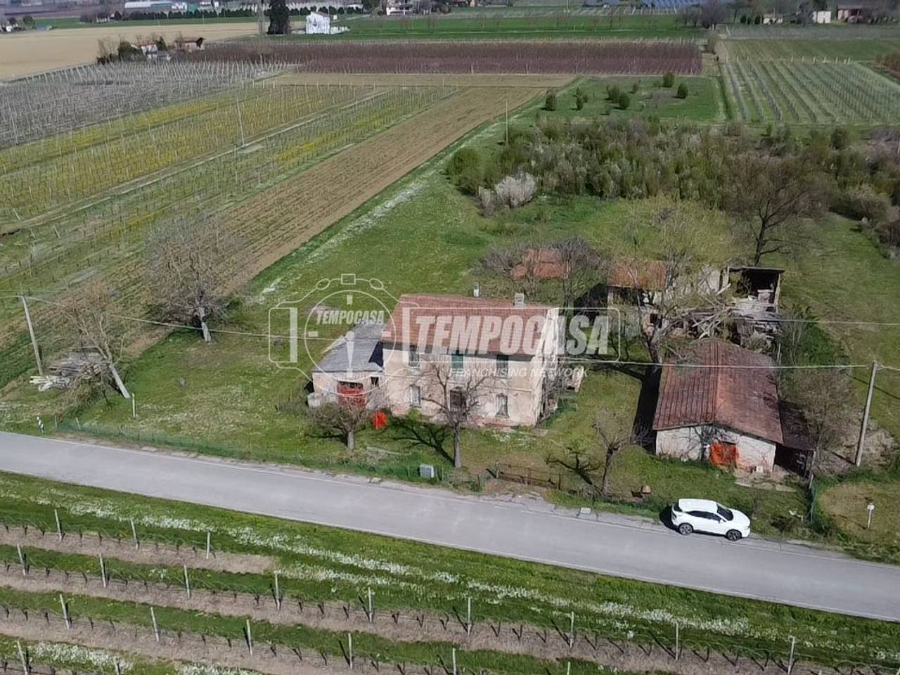 immagine annuncio 5 di 12