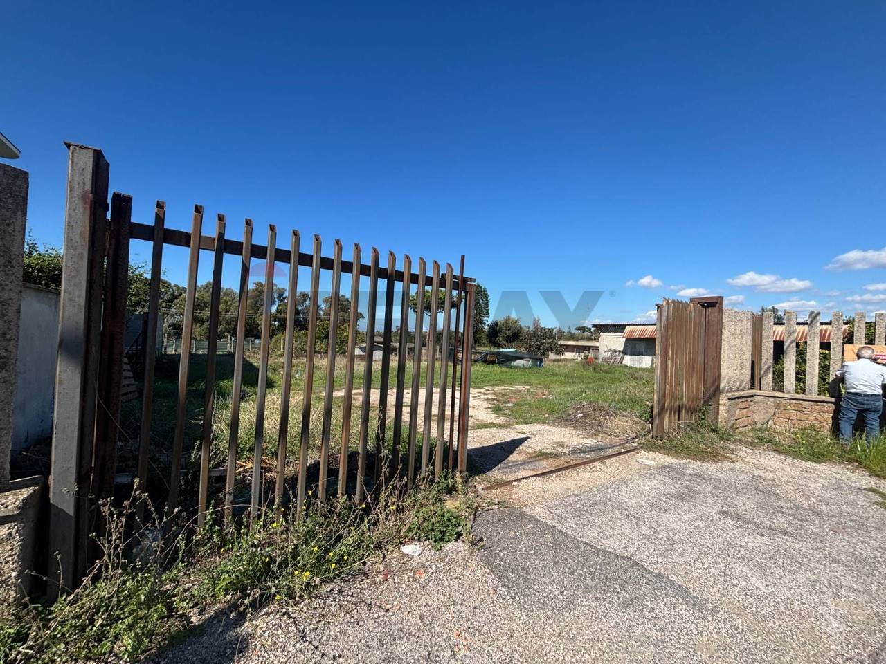 immagine annuncio 1 di 13