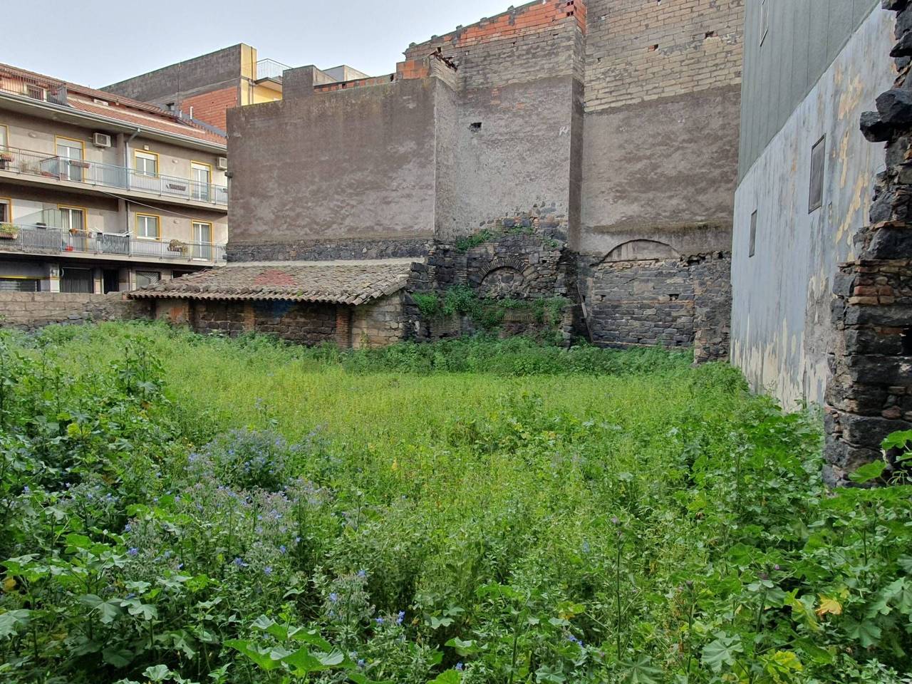 immagine annuncio 2 di 6