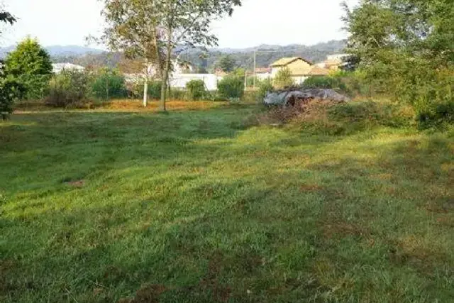 insertion image