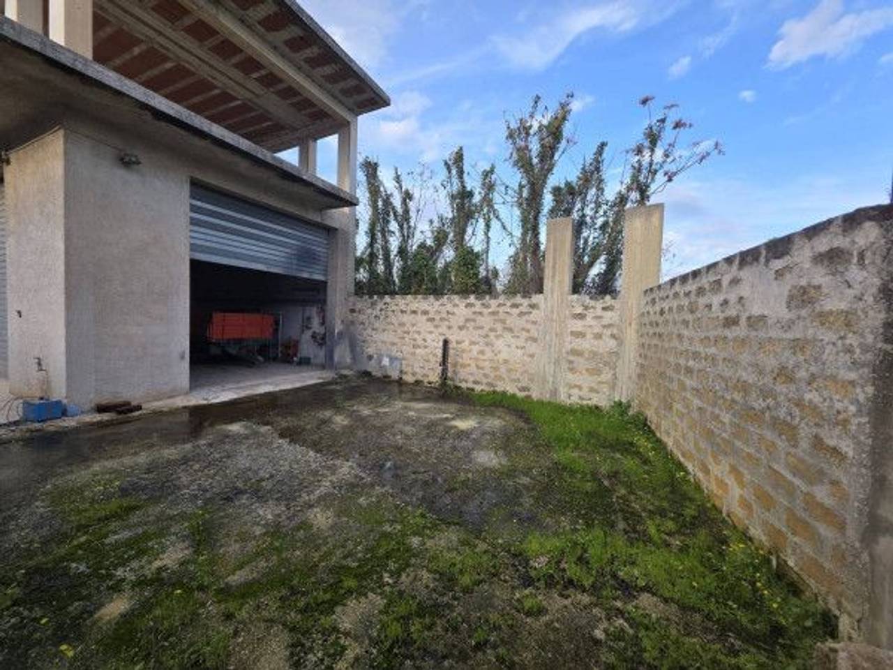 immagine annuncio 6 di 14