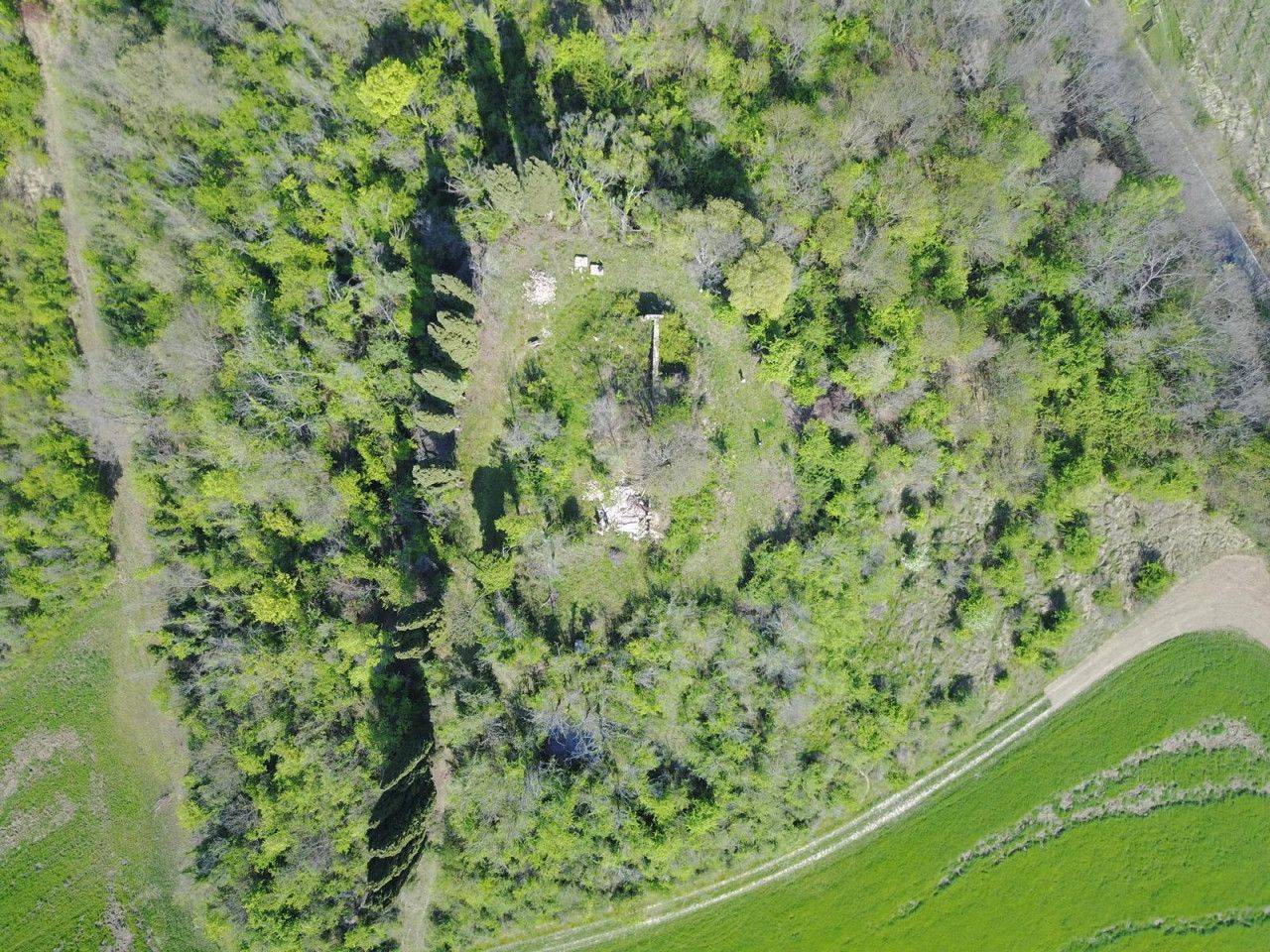 immagine annuncio 9 di 15