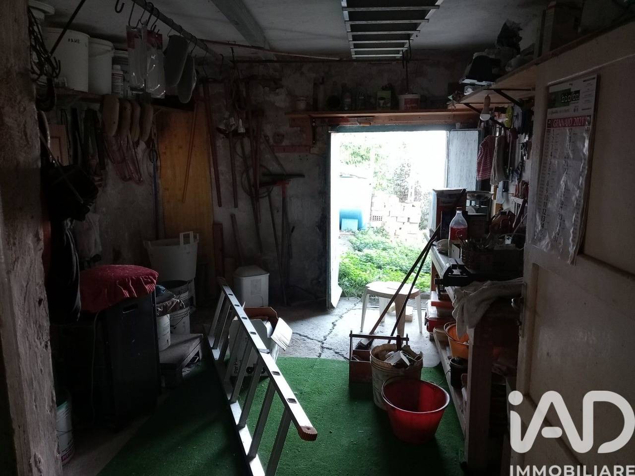 immagine annuncio 10 di 15