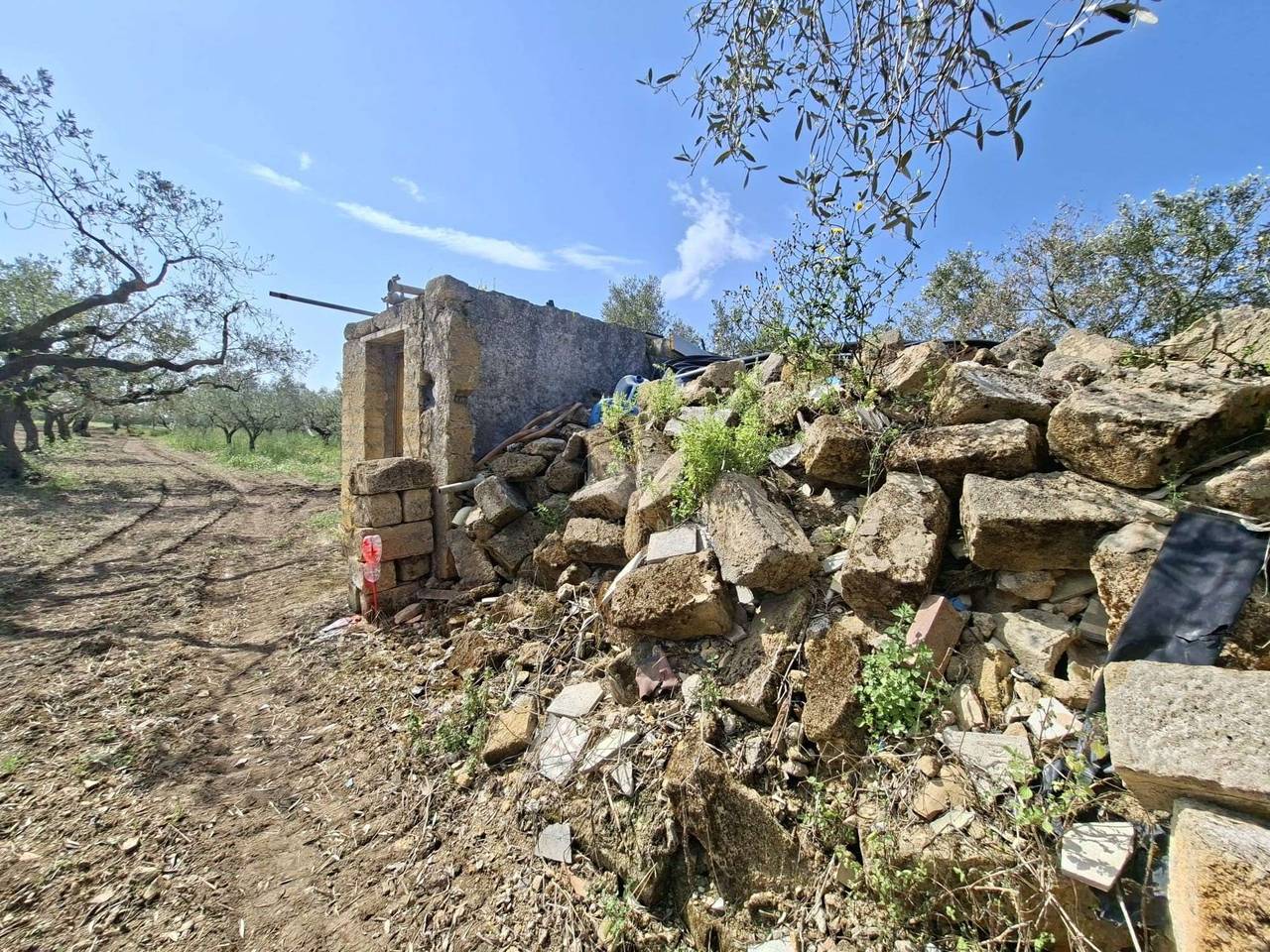 immagine annuncio 2 di 4