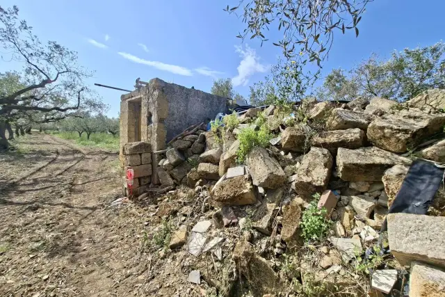 insertion image