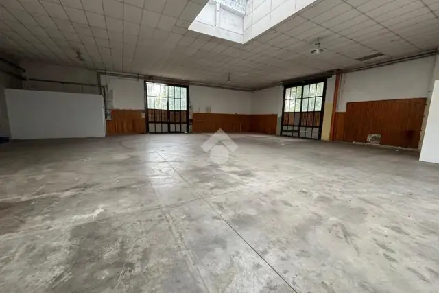 insertion image
