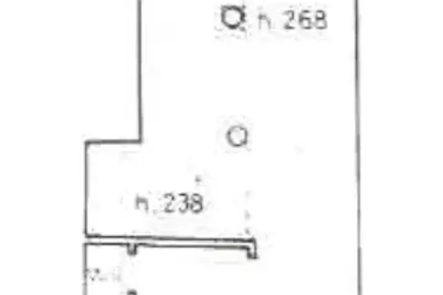 insertion image