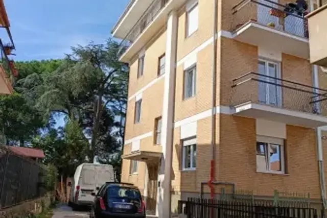 insertion image