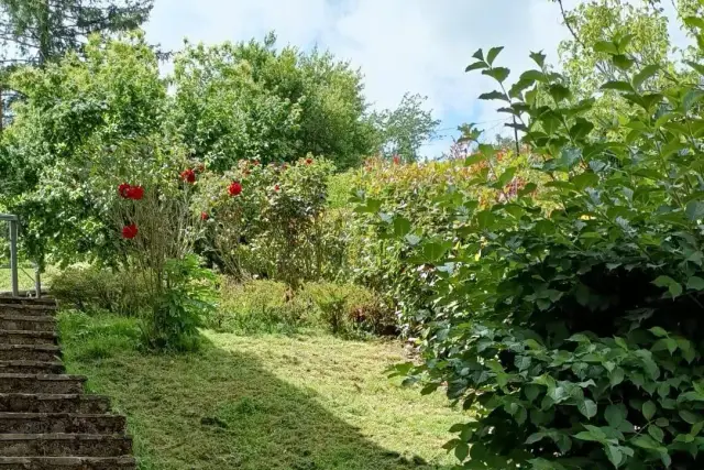 Einfamilienhaus, Cantagallo - Foto 1