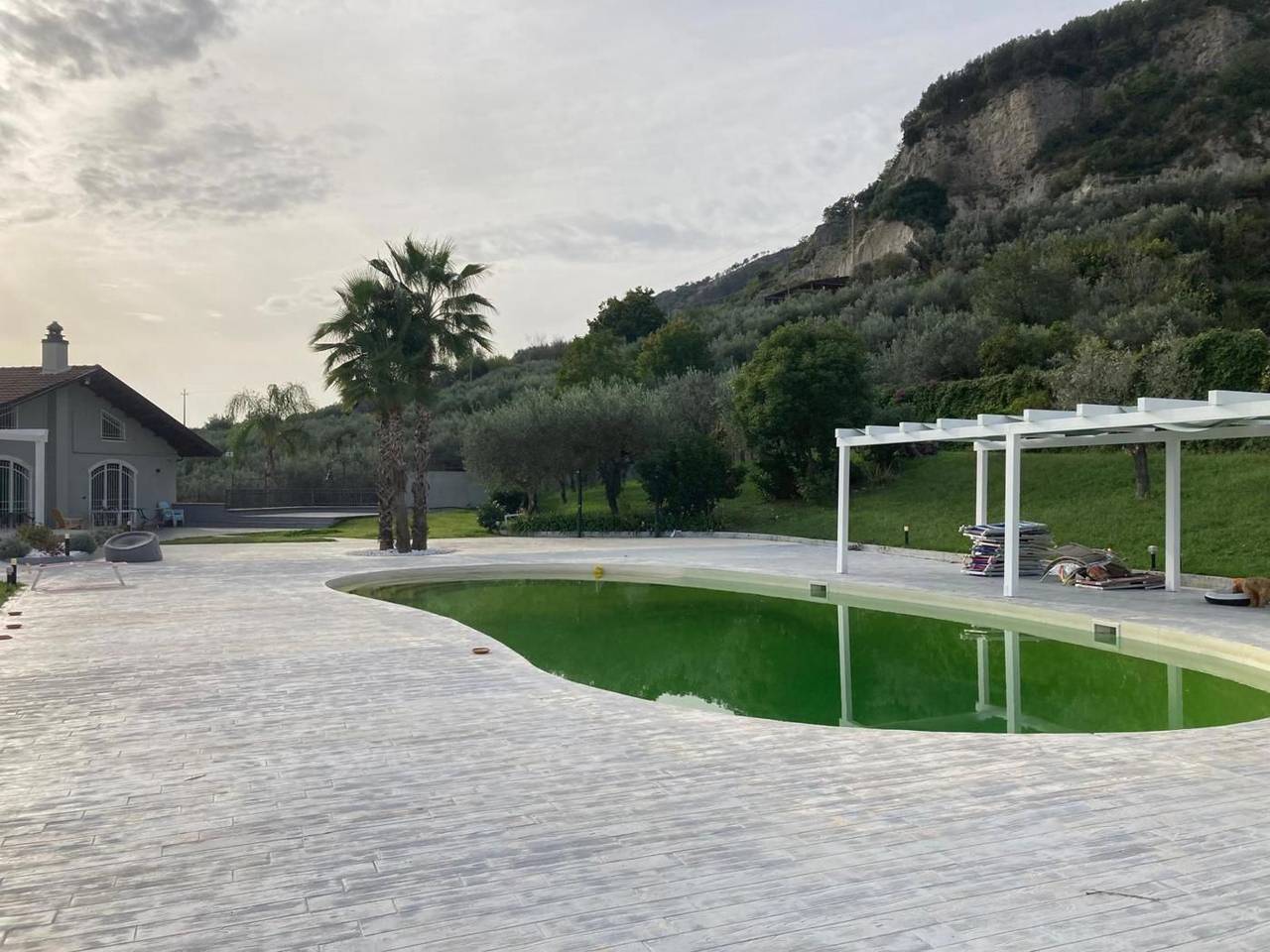 immagine annuncio 2 di 11