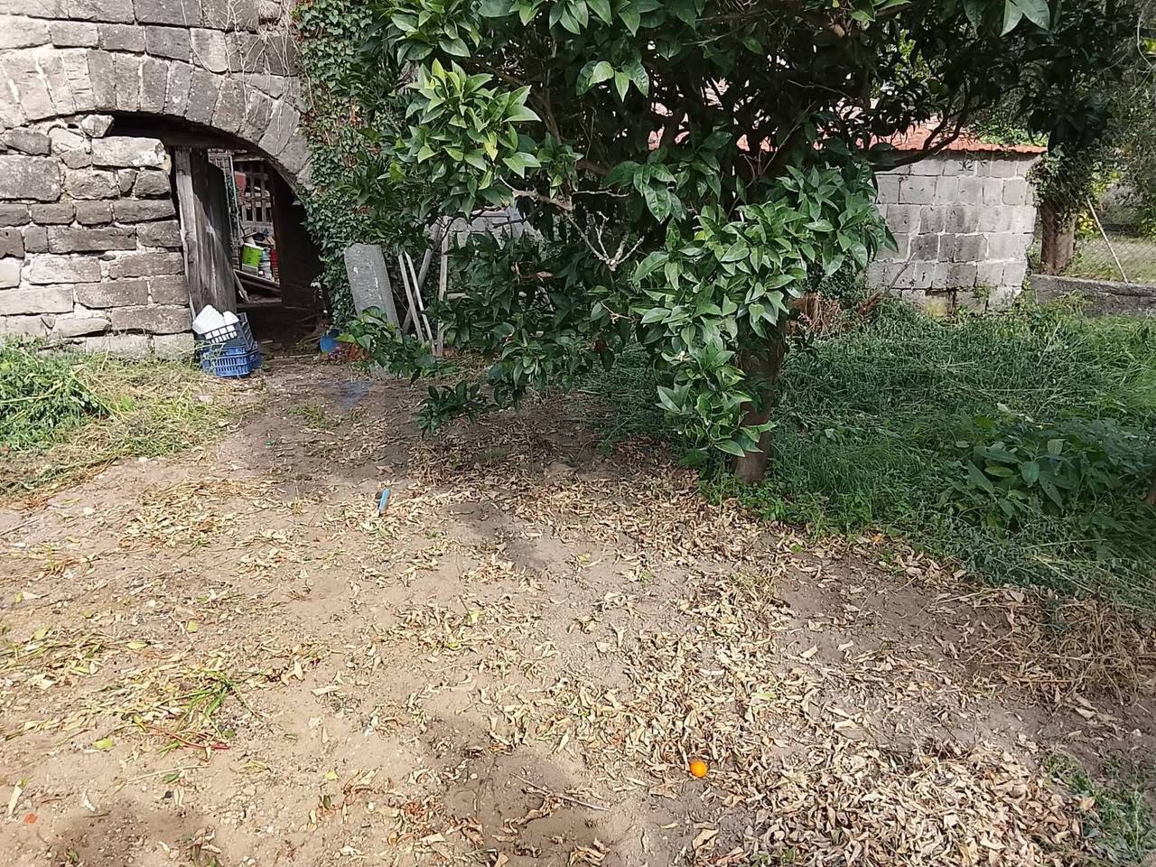 immagine annuncio 8 di 9