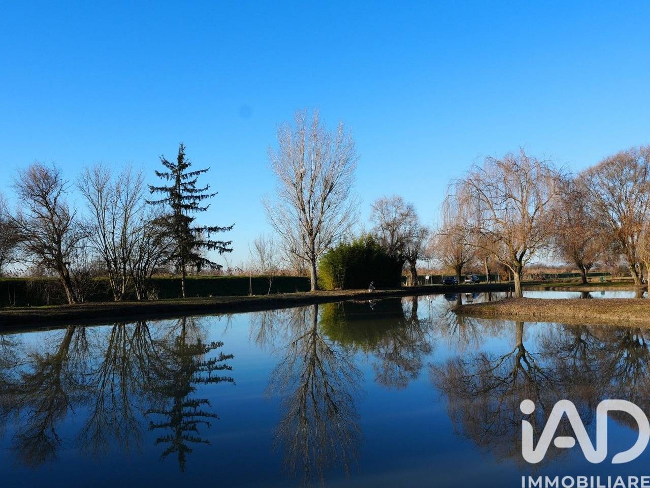 immagine annuncio 6 di 9