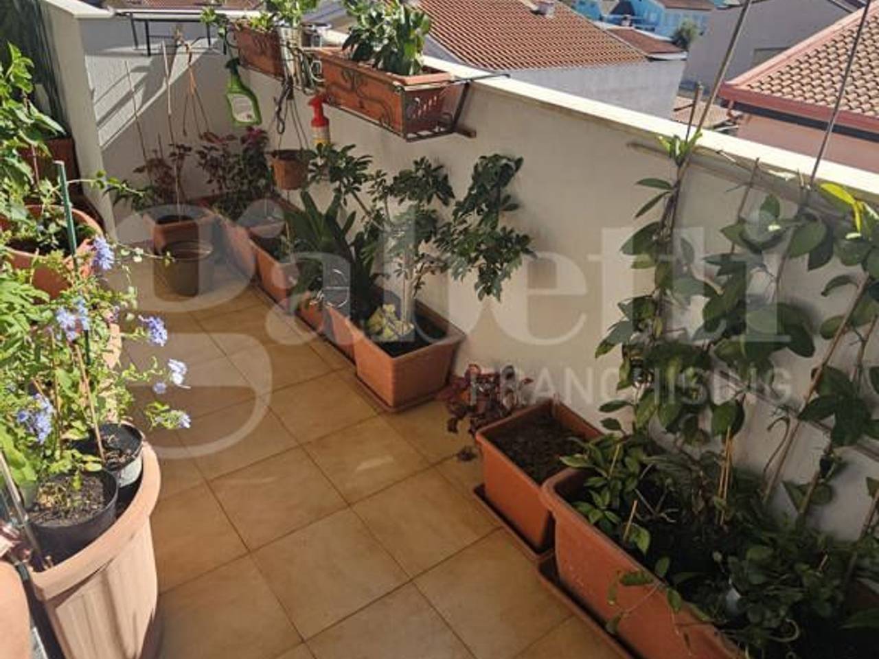 immagine annuncio 5 di 9