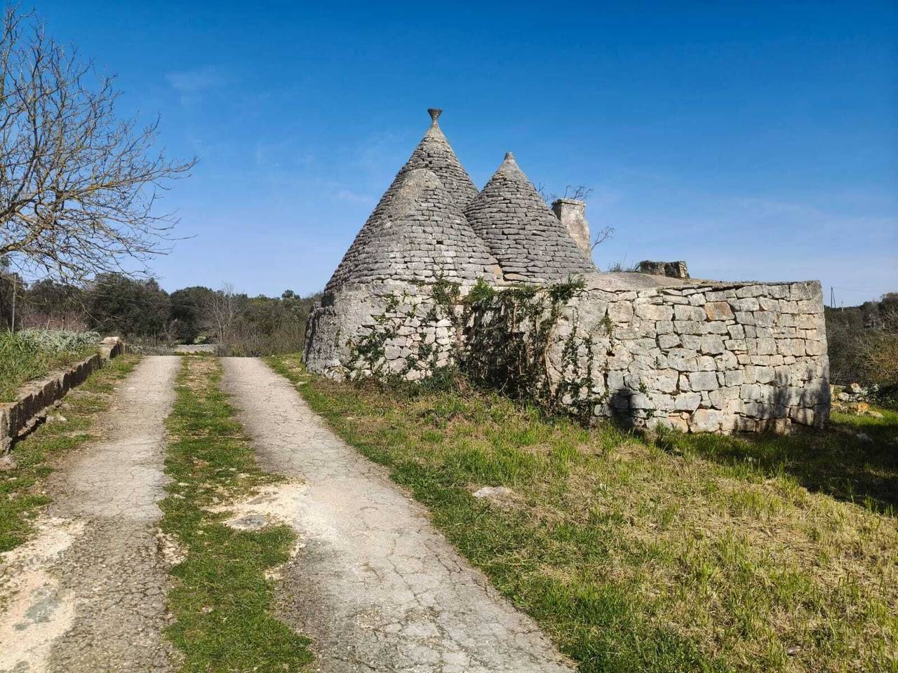 immagine annuncio 11 di 15