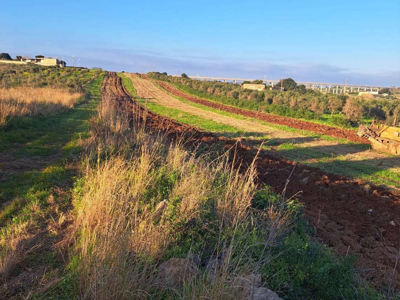 immagine annuncio 3 di 6