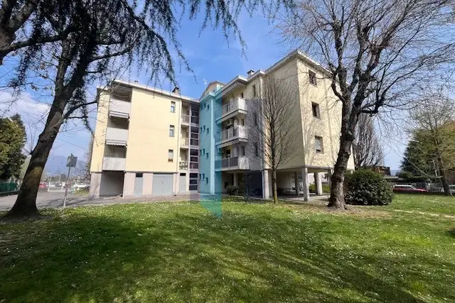 insertion image