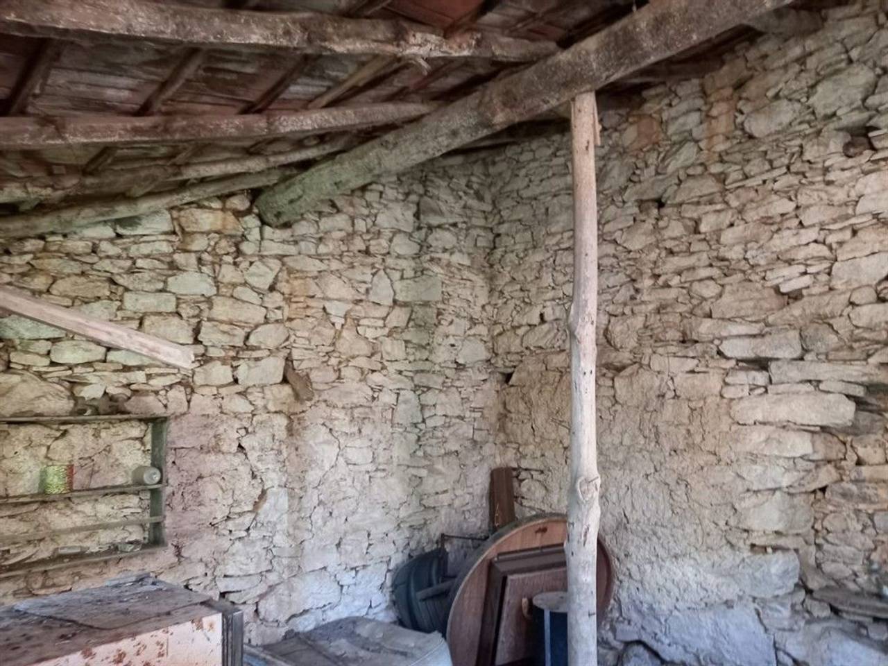 immagine annuncio 4 di 7