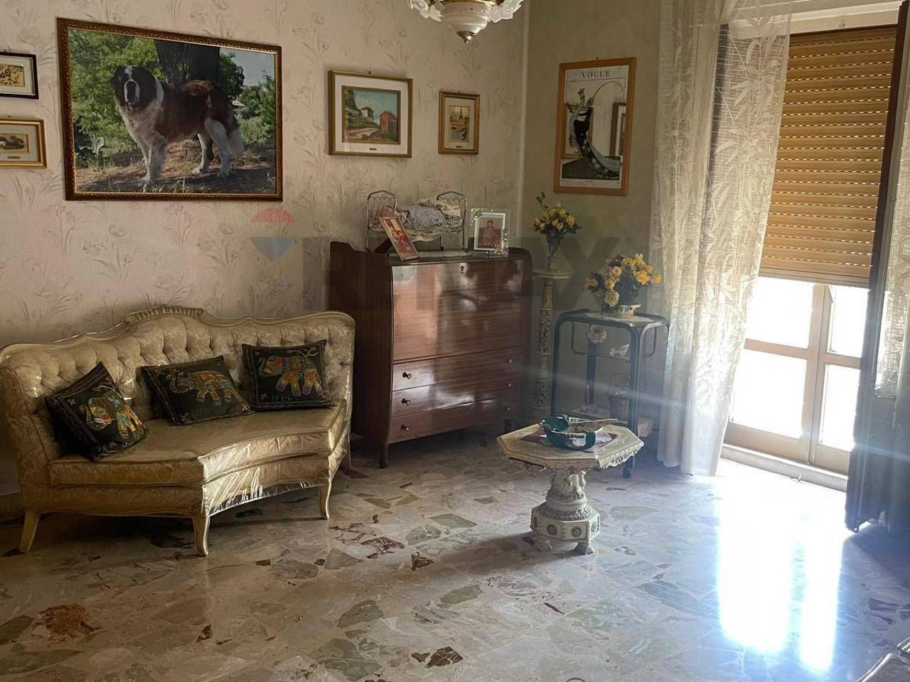 immagine annuncio 1 di 6