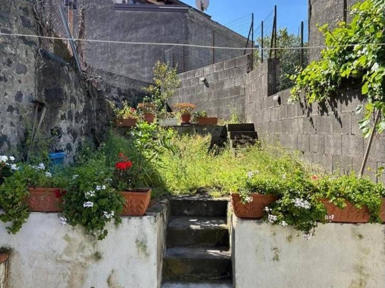 immagine annuncio 10 di 13