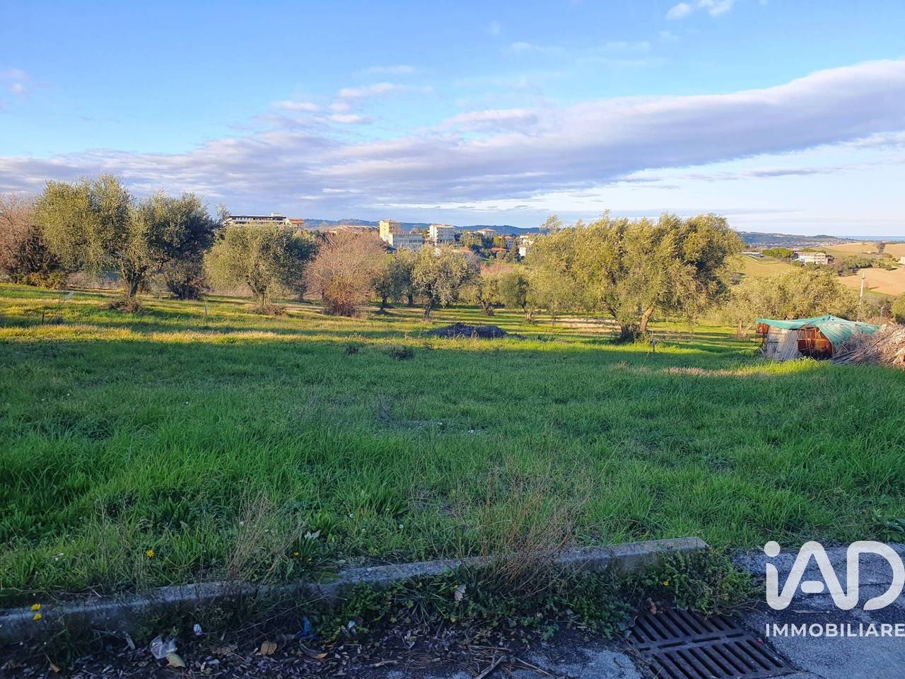 immagine annuncio 14 di 15