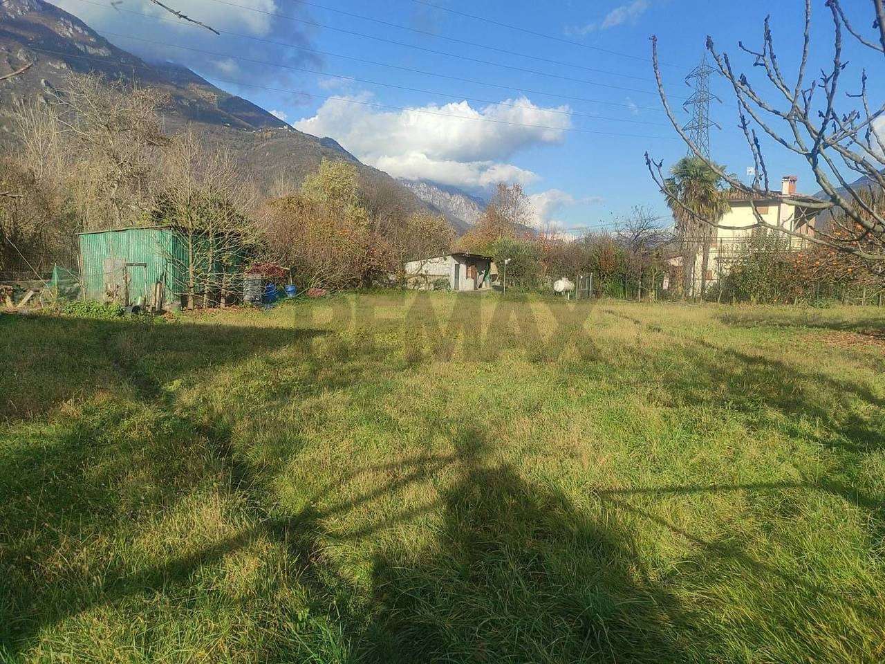 immagine annuncio 4 di 8