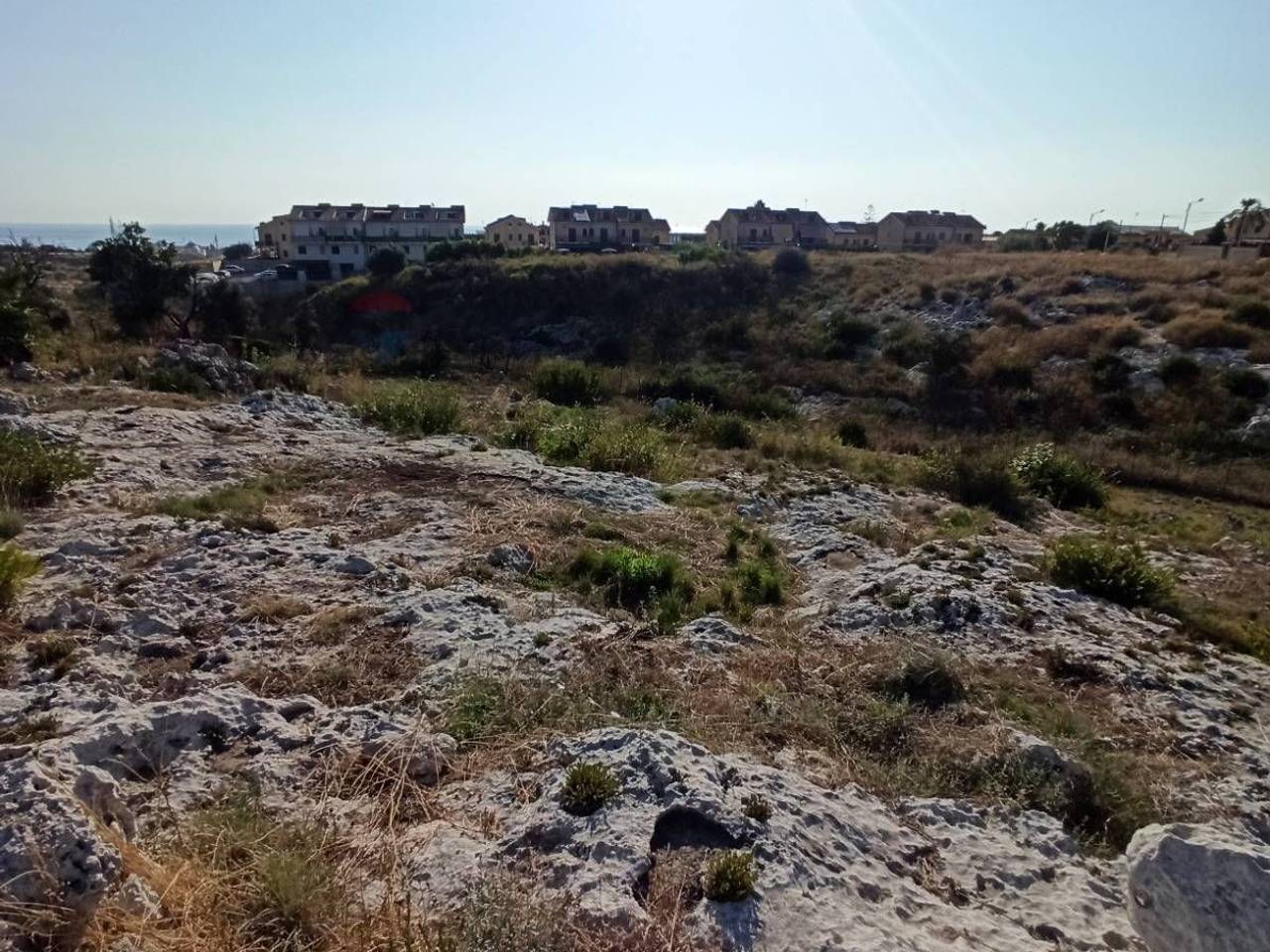 immagine annuncio 5 di 9