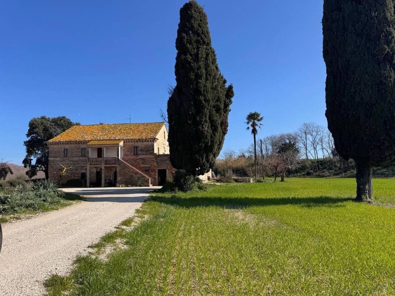 immagine annuncio 8 di 11