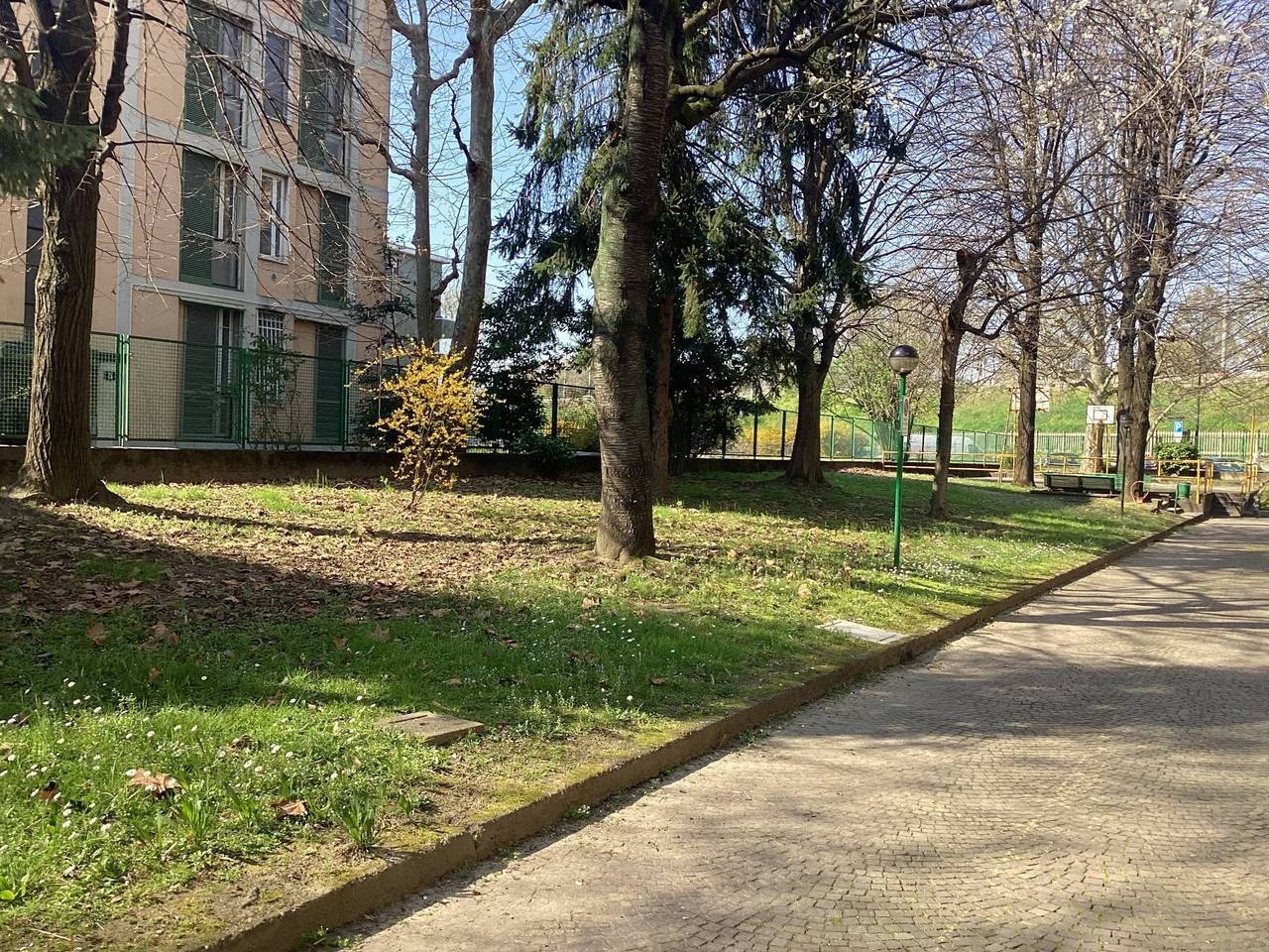 immagine annuncio 12 di 15