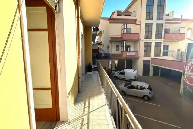 insertion image