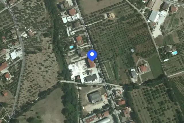 insertion image