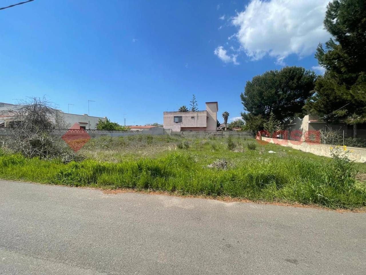 immagine annuncio 5 di 7