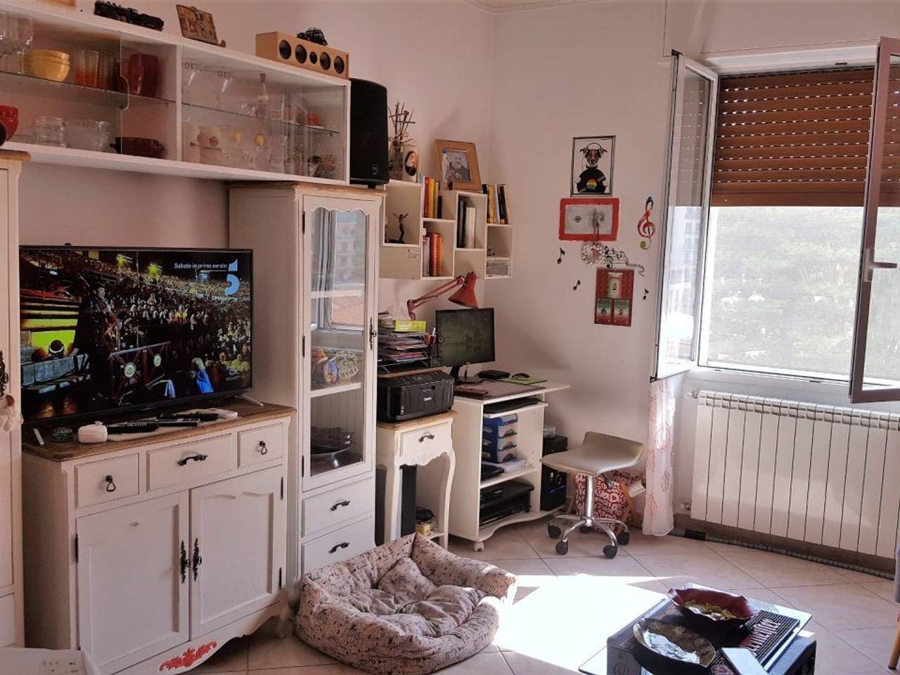 immagine annuncio 5 di 14