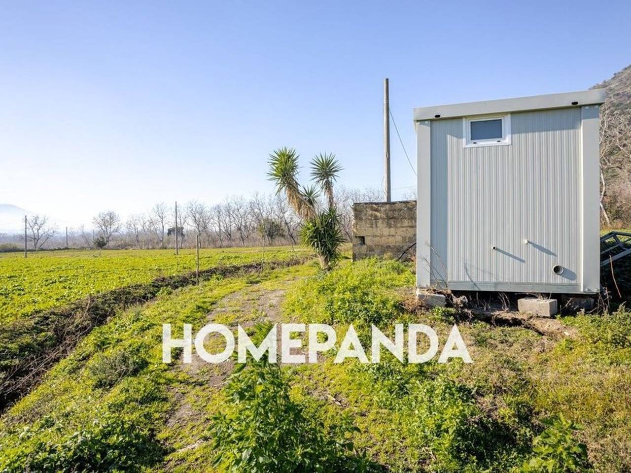 immagine annuncio 5 di 7