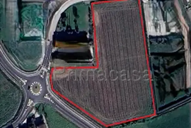 insertion image