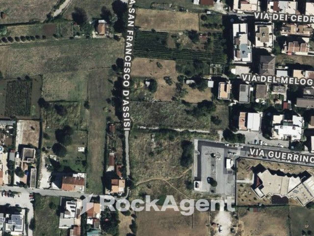 immagine annuncio 3 di 12