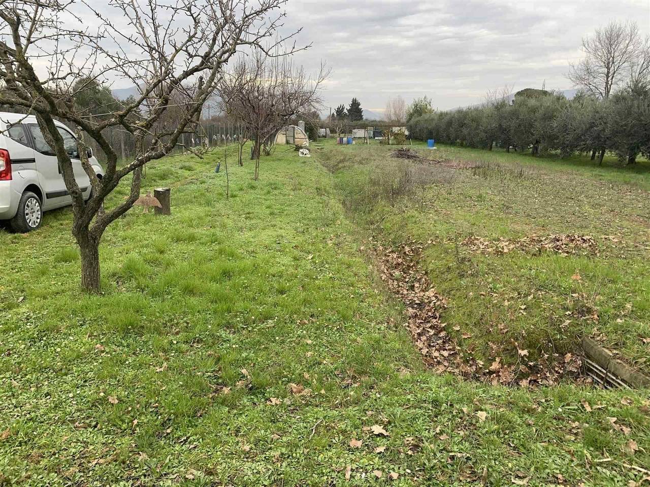 immagine annuncio 6 di 8