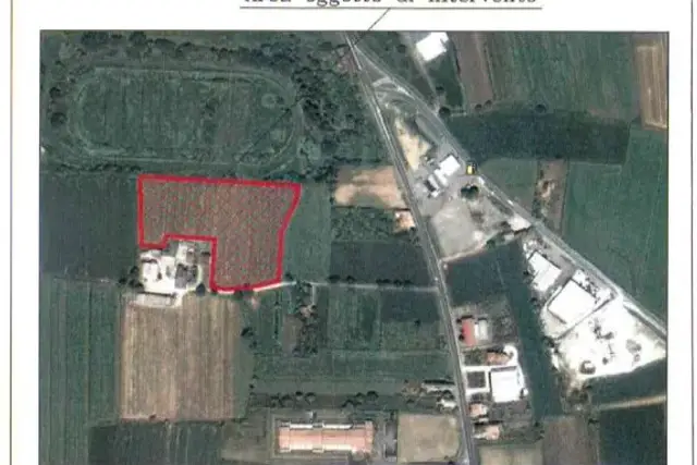 insertion image